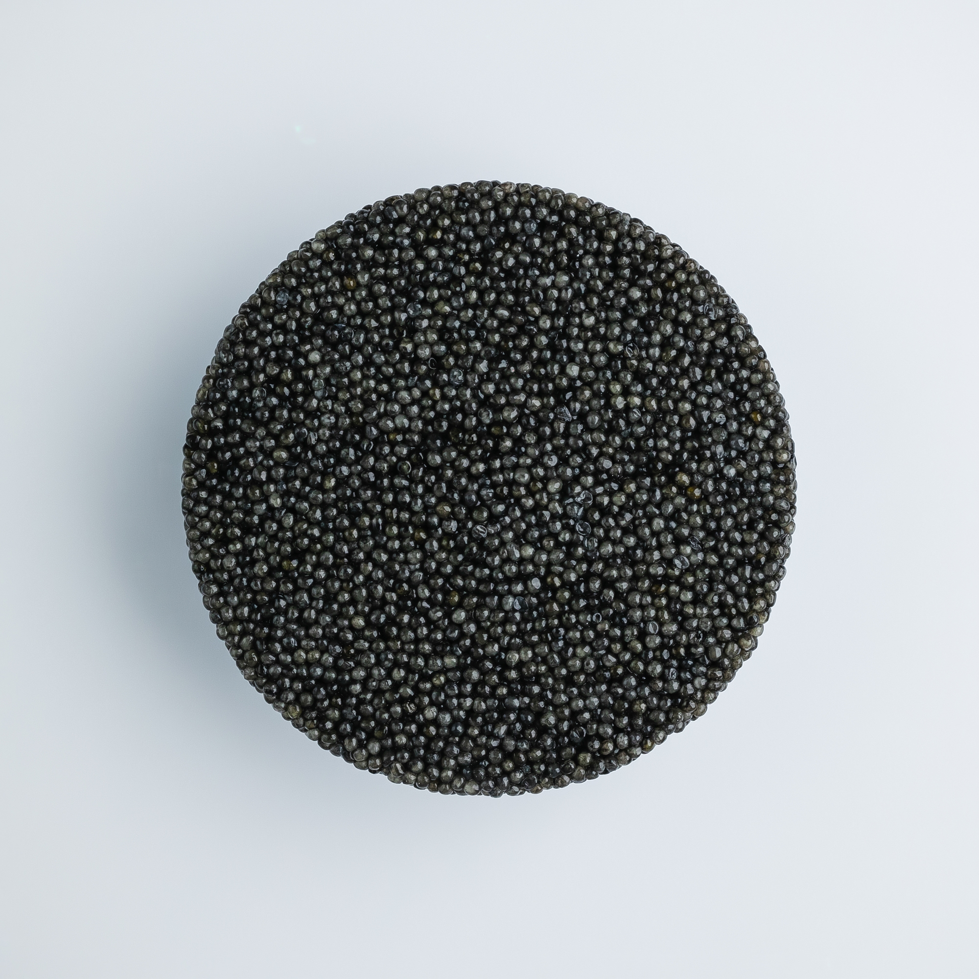 Черная икра стерляди - Image 2