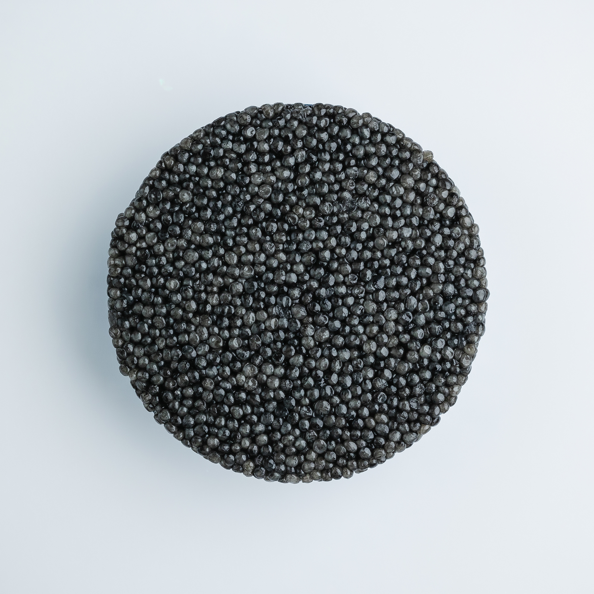 Черная икра белуги - Image 3